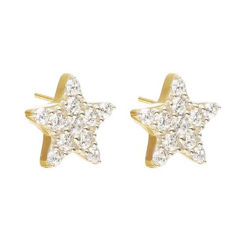 Silk & Steel Etoile Studs